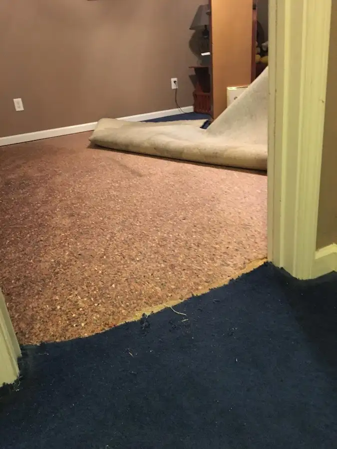 Carpet pad removal revealing water damage during Drying & Dehumidification in Shively