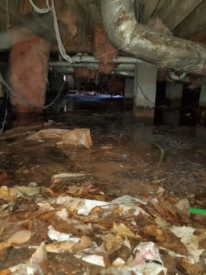 Crawl space flood assessment for Leak Detection & Repair in Shively