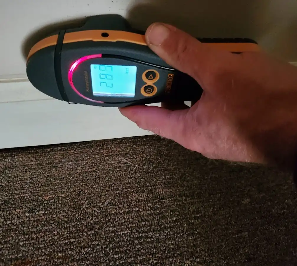 Moisture detection at baseboard during Mold Inspection & Testing in Shively